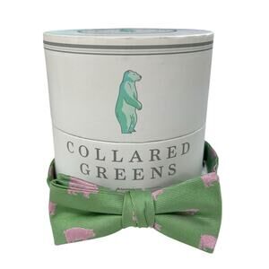 Collared Greens Boys Green & Pink Pig Print 100% Silk Adjustable Bow Tie